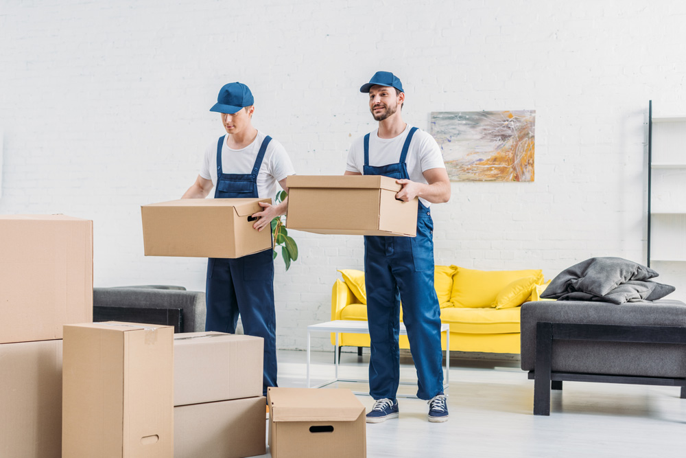 Movers and Packers in Dubai