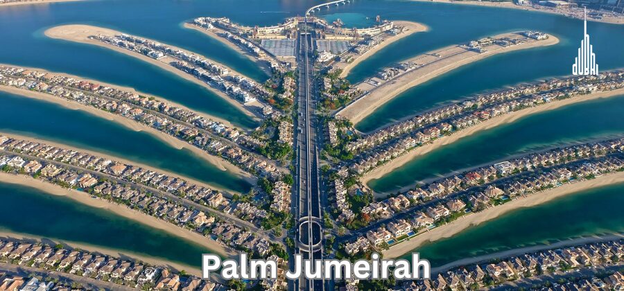 Moving and Packing Palm Jumeirah